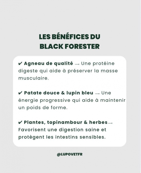 Black Forester 365