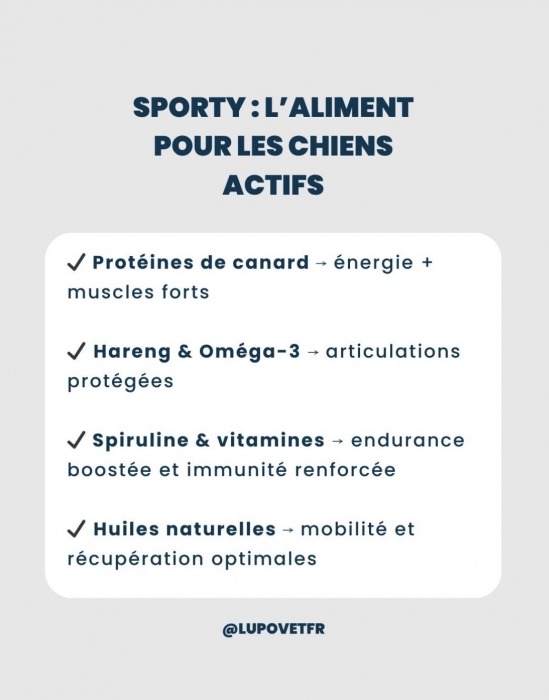 Sporty
