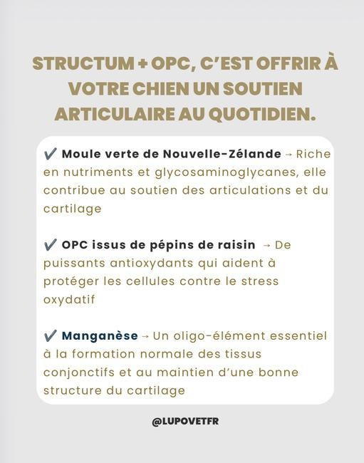 Structum + OPC Refill Package